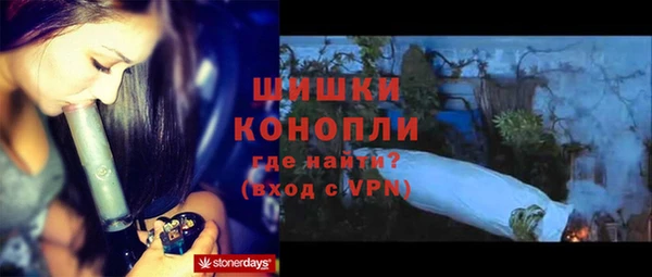 эйфоретик Карпинск