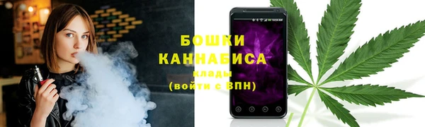 шишки Касимов
