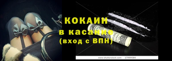 шишки Касимов