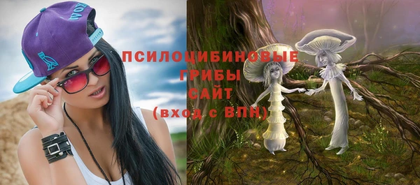 шишки Касимов