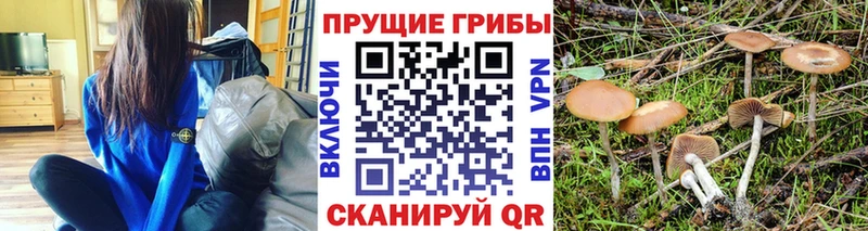Галлюциногенные грибы прущие грибы  Купить где  Заполярный 